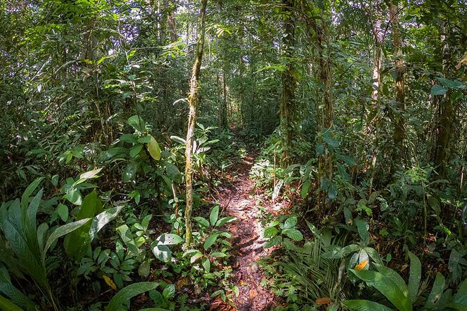 4 Days Deep Jungle Experience - About Your Stay