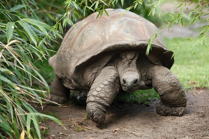 4 Days Galápagos - Total Experience Tour - About Your Stay