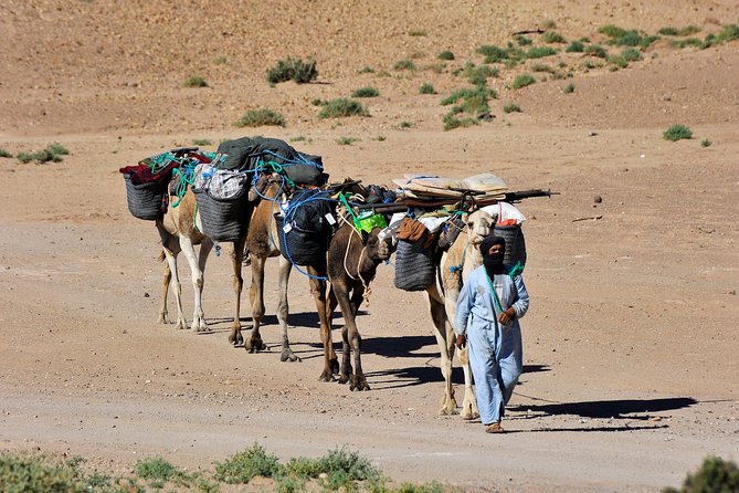 4 Days Hiking To Desert - Good To Know