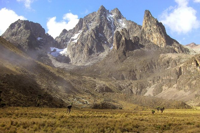 4 Days Mount Kenya Trekking - Good To Know