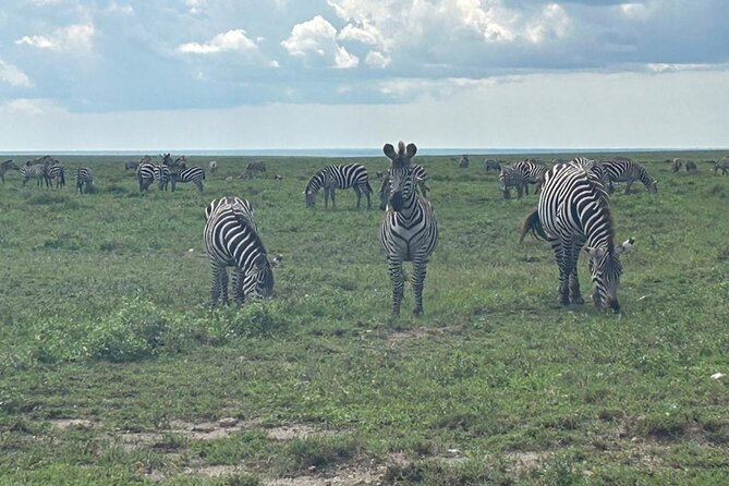 4 Days Tanzania Northen Circuit Adventure - Tour Overview