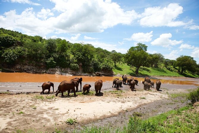 4 Days Tarangire, Serengeti & Ngorongoro Crater Joining Group - Good To Know