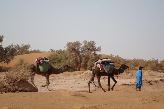 4 Days Trekking To The Heart Of Desert - Good To Know