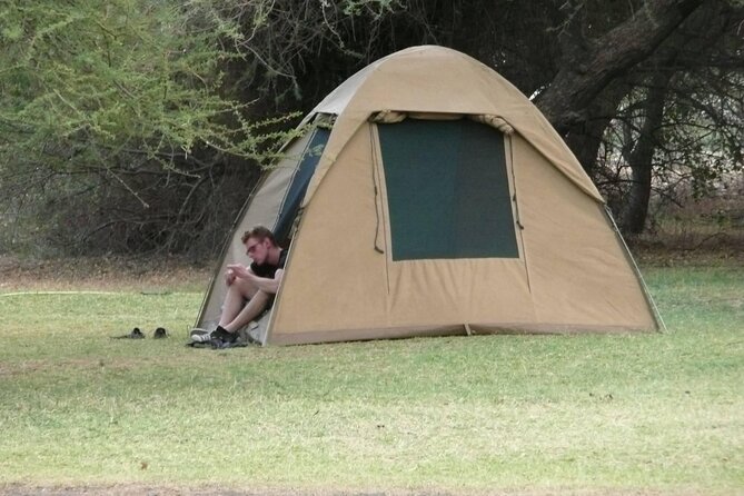 4 Days Wildlife Safari and Cultural Experience in Tanzania - Overview of the Safari Experience