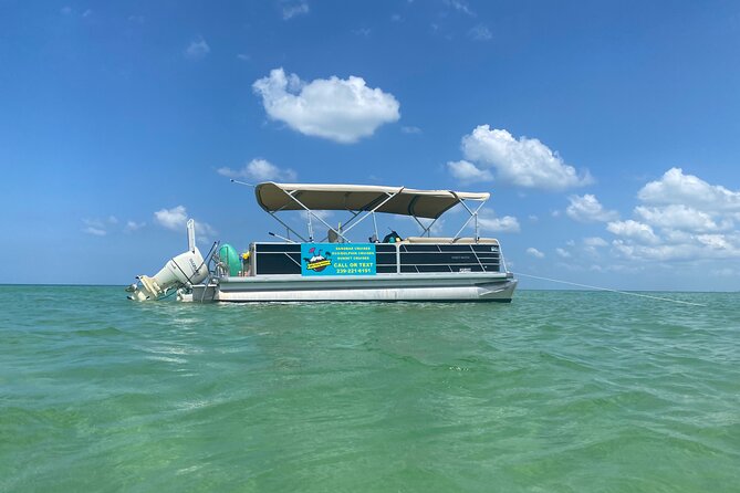 4 Hour Dolphin and Sandbar Cruise - Good To Know