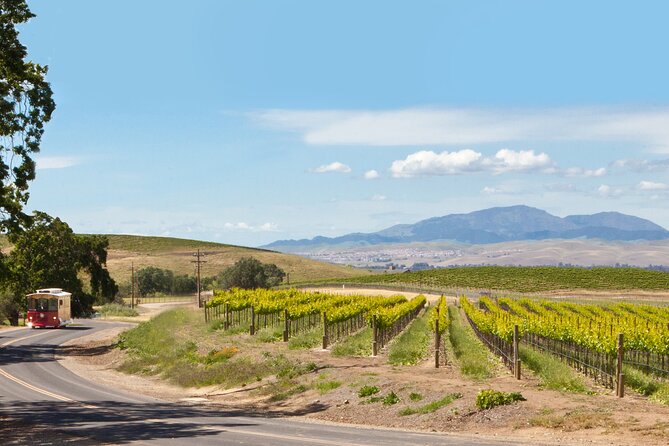 4 Hour Livermore Valley Wine Tour - Good To Know