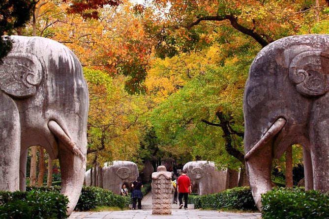 4-Hour Nanjing Private Tour: Xiaoling Tomb, Ming City Wall and Memorial Hall - Good To Know
