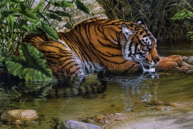 03 Days Private Wildlife Ranthambore Tiger Tour From Jaipur - Booking and Cancellation Policy