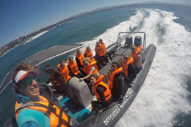 1.5-Hour Seal Viewing Boat Tour in Plettenberg Bay - Ecosystem and Conservation