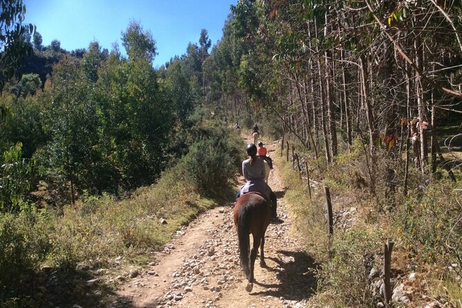 1.5 Hr Horseback Riding Montevideo, Uruguay, With Transportation - Horseback Riding for All Levels
