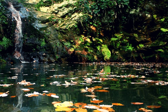 1 Day Excursion Nature and Archeology Bulla Regia and Beni Mtir From Tunis - Lunch and Refreshments