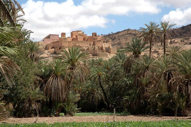 1 Day Guided Tour to Tiout Tarodant From Agadir - Booking Information