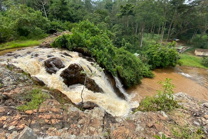 1 Day Jinja Day Trip and Source of R. Nile Tour - Traveler Experience