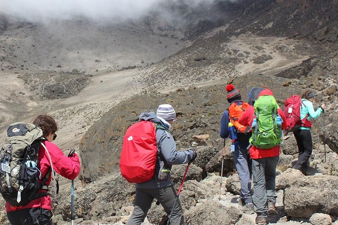 1 Day Kilimanjaro Climb via Machame Route - Fitness and Accessibility Requirements