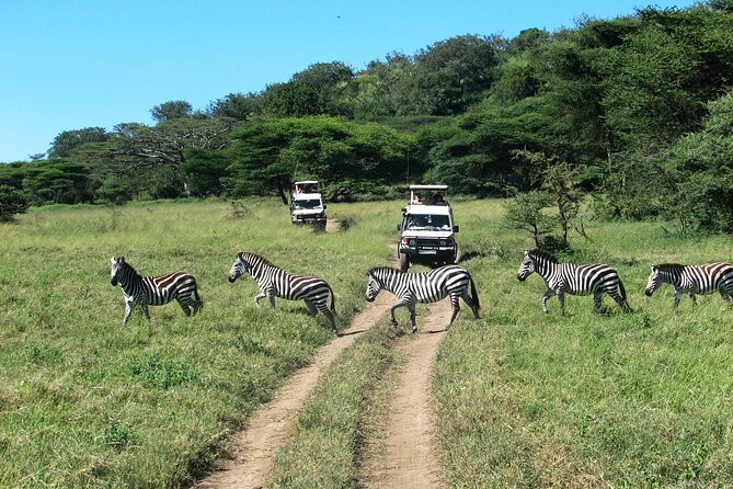 1-Day Ngorongoro Crater Group Safari - Safari Schedule