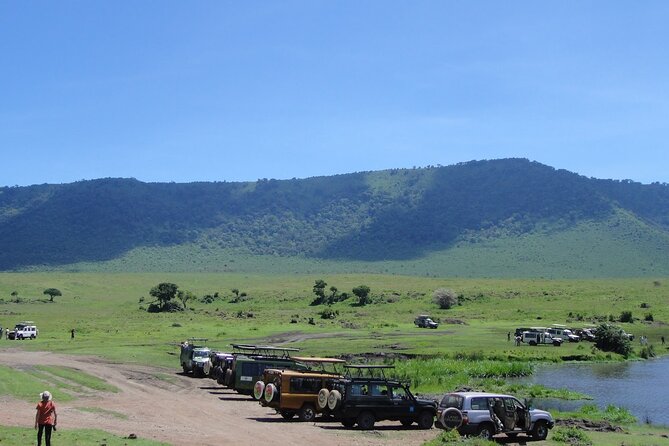 1 Day Private Ngorongoro Crater Safari - Tour Conditions