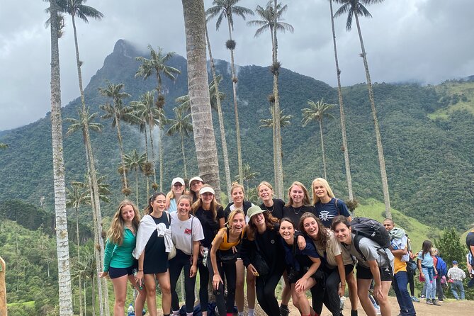 1 Day Private Tour in Cocora Valley Hike - Breathtaking Landscapes