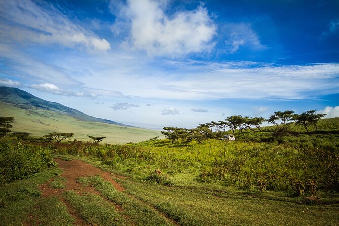 1 Day Short 4x4 Safari: ARUSHA NATIONAL PARK Incl. Lodge-Lunch - Pickup and Accessibility