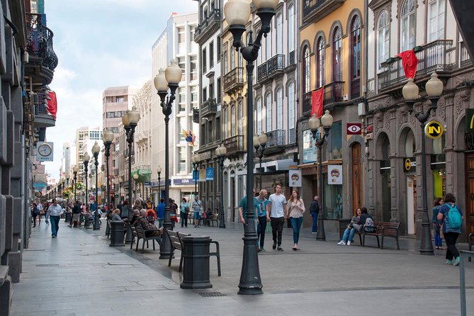 1-Day Tour in Las Palmas De Gran Canaria From South of Gran Canaria - The Sum Up