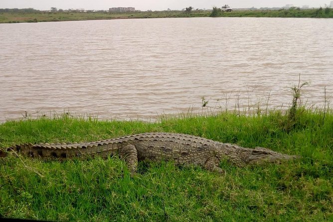 1 Day Tour Nairobi National Park,Giraffe Center&Karen Blixen - Accessibility Features