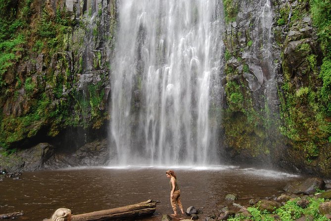 1 Day Tour to Materuni Waterfalls and Coffee Tour - Frequently Asked Questions