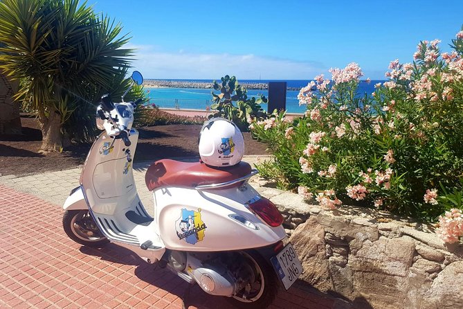 1 Day Vespa Gran Canaria by Vespa GPS Guided Tour - Tour Operator Details