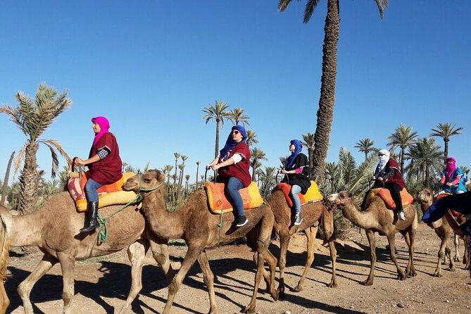 1-Hour Camel Ride and 1-Hour Quad Bike Ride in Marrakech. - Booking Details