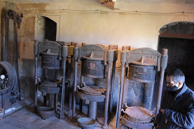 1-Hour Guided Visit to the Olive Tree That Speaks and the Hypogeum Oil Mill - Since You Asked