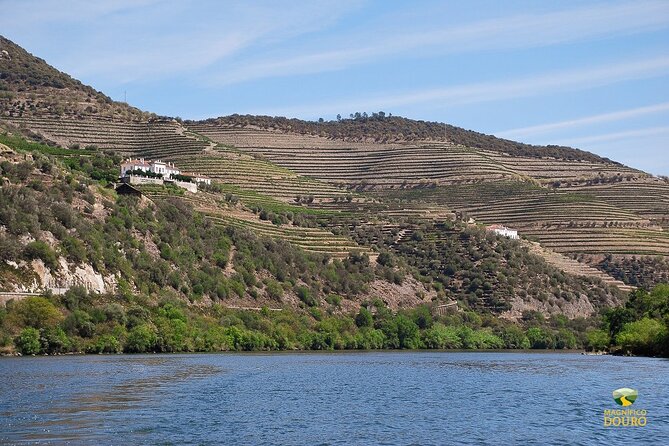 1-Hour Rabelo Boat Trip in Pinhão - Recommendations and Improvements