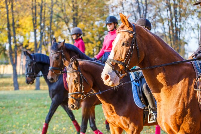 1-Hour Small-Group Horseback Riding Guided Activity From Ljubljana - Duration and Group Size