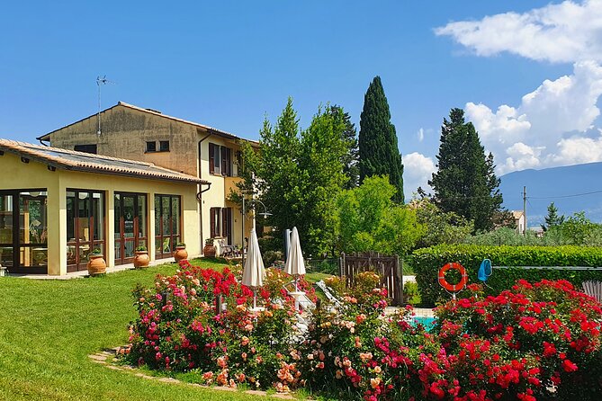 1 Hour Tasting of Artisan Liqueurs in the Umbrian Countryside - Highlights of the 1-Hour Tasting