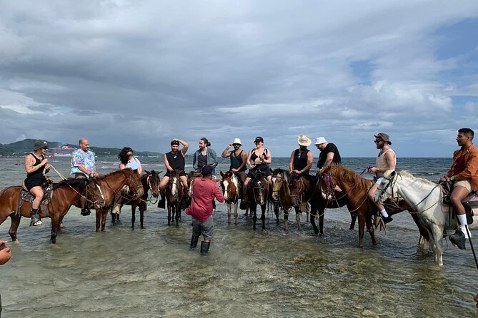 1 HR Horseback Riding + Sloths, Island Tour & Beach Break - Tour Highlights