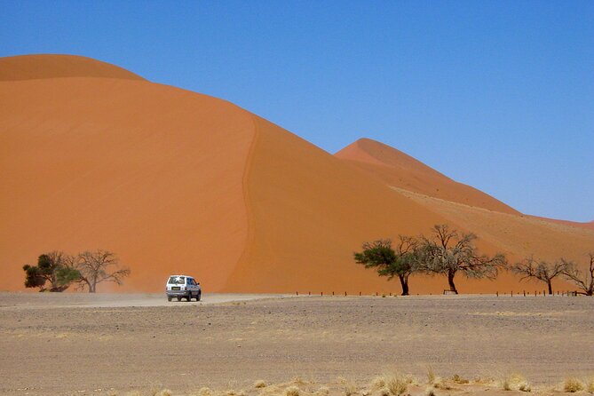 1 Night All Inclusive Camel Ride & Desert Camp - Scenic Highlights