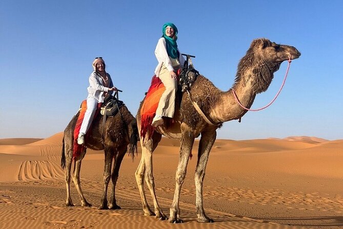 1 Night in Desert Camp Merzouga & Camel Ride & Back by Jeep (4x4) - Sandboarding and Optional ATV