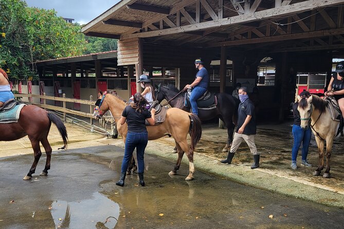 1 or 2 Hour Puerto Rico Horseback Ride Experience! - Duration and Location