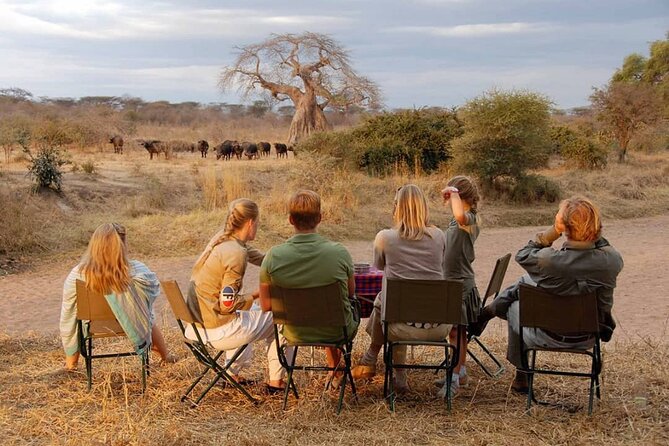 10-DAY African Safari in Uganda From Kampala - Accommodation Options