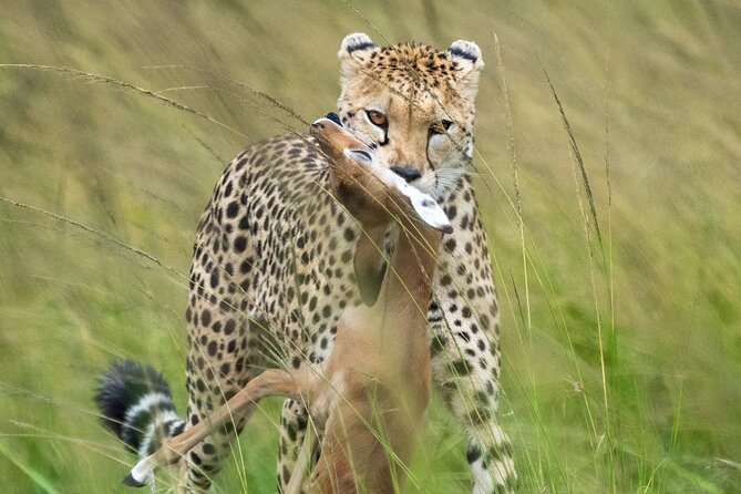 10-Day Private Tour in Big Five Safari and Beaches - Health and Accessibility