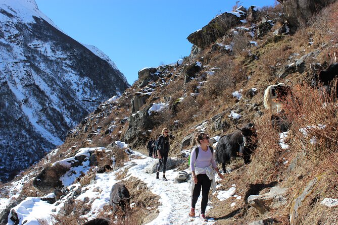 10-Days Private Langtang Valley Trek in Nepal - Physical Requirements