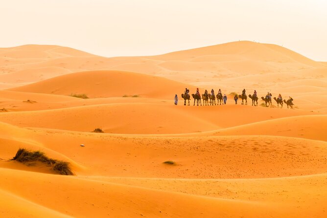 10 Days Tour From Casablanca to Marrakech via the Sahara Desert - Exploring the Oases of Todra Gorge