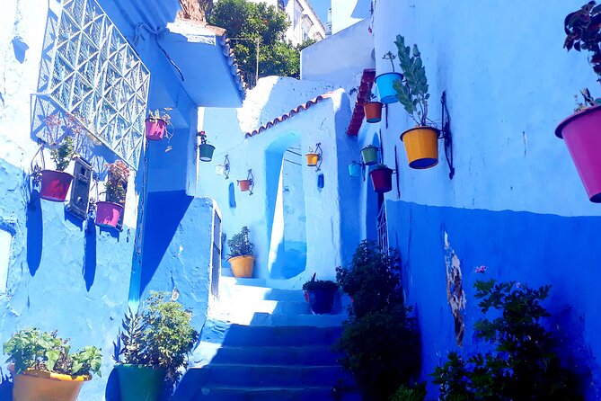 12-Day Private Moroccan Cities and Deserts Tour - Tour Conditions and Requirements