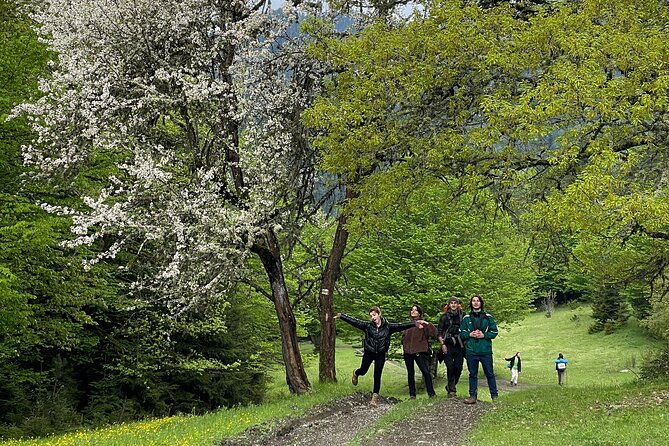 13 Km Hike in Borjomi - Group Tour From Tbilisi - Cancellation Policy and Terms
