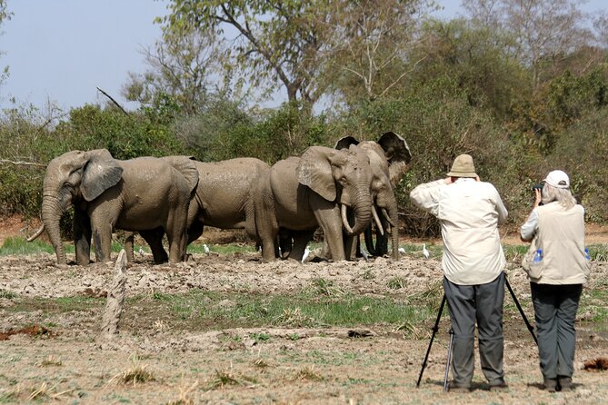 15-Day Ghana Wildlife Private Tour - Inclusions and Exclusions