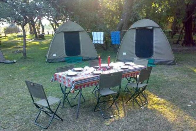 2-Day Camping Safari in Chobe National Park From Victoria Falls - Transportation and Pickup