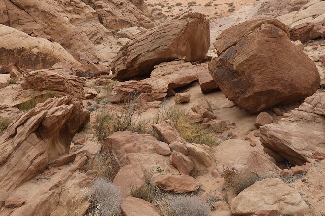 2-Day Hiking Adventure and Jeep Tour From Wadi Rum - Reviews and Ratings