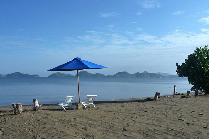 2-Day Komodo National Park and Rinca Island Wildlife Adventure From Bali - Tips for a Great Trip