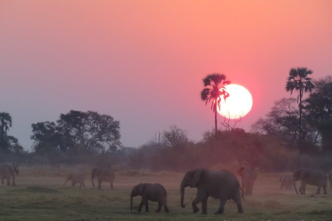2 Day Wilderness Trail: Okavango Delta and Moremi - Camping Safari - Meeting Details