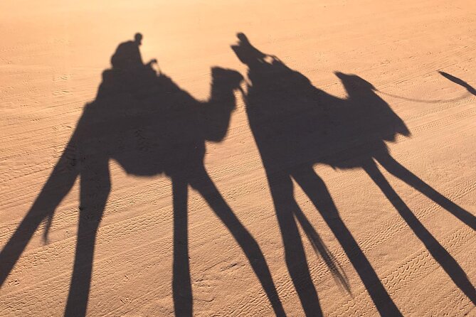 2-Days Desert Tours From Fes With Overnight in Luxury Camp - Dining Under the Stars