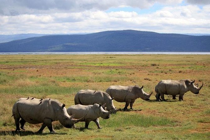 2 Days Flamingo Tour to Lake Bogoria & Lake Nakuru From Nairobi - Wildlife Experiences