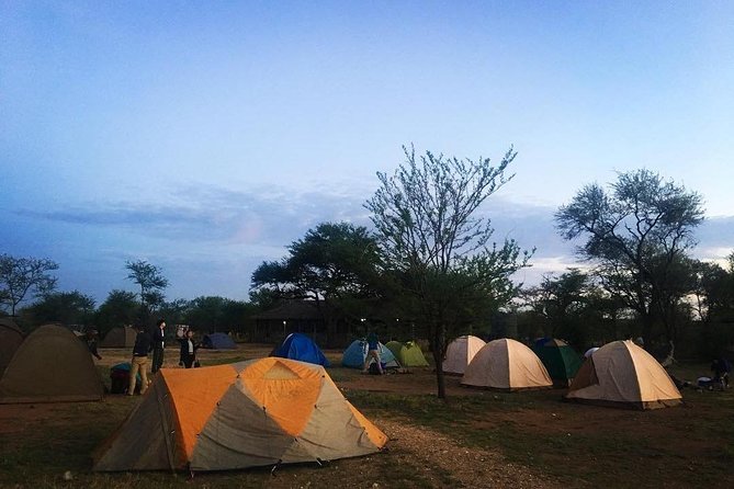 2 Days Mid Range Safari in Ngorongoro and Tarangire Big 5 Parks - Meeting and Pickup Details