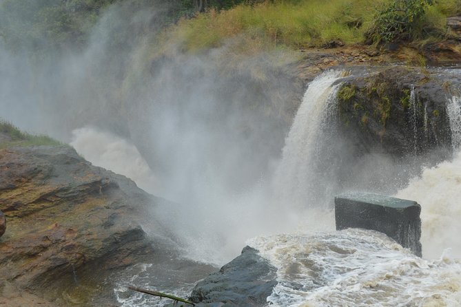 2-days Murchison Falls and Wildlife Game Viewing - Guest Reviews